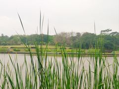 -东莞植物园