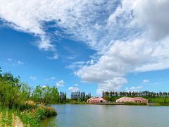 -上海长兴岛郊野公园