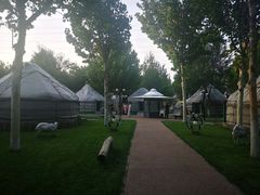 -九十九顶毡房(阜石路店)