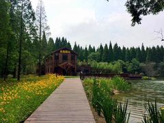 -黄海国家森林公园