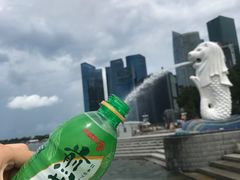 -鱼尾狮公园