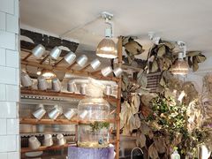 -野草莓自由市场