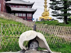 -峨眉山风景名胜区