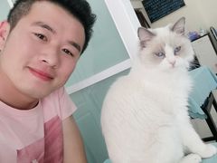 -鼓捣猫呢主题猫咖店