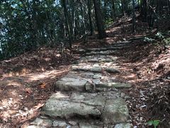 景点-井冈山风景名胜区-黄洋界