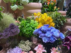 -BEAST野兽派(上海浦东嘉里城店)