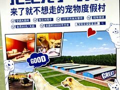 -北京佳信宠物医院