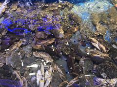 -澜悦港海鲜体验主题餐厅