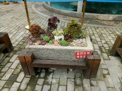 -天怡·鱼工厂(临江店)