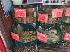 -东来菜馆•手抓海鲜家常菜•海鲜锅贴(鸽子窝店)