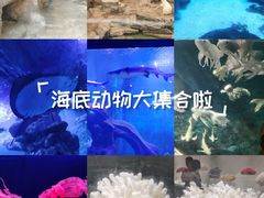 -西安曲江海洋极地公园
