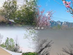 -田野绿世界