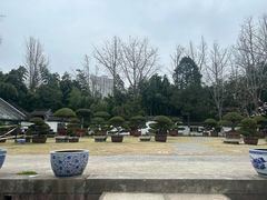 -水绘园