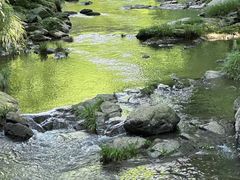 -石台牯牛降景区