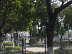 -苏州工业园区星湾学校