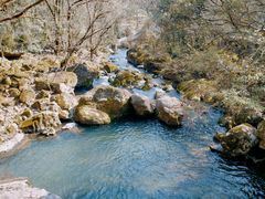 -溪口-滕头旅游景区