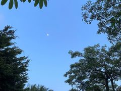 -万绿园