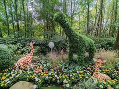 -上海共青森林公园