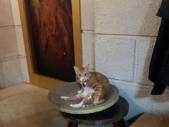 -逃脱反斗城沉浸剧情密室(北京路店)