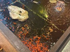 -东海怡品海鲜豆捞(星街坊店)