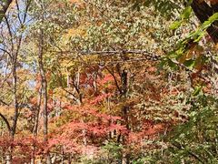 -三块石国家森林公园