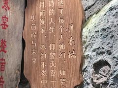 -破瓦寒窑·地摊烤羊排