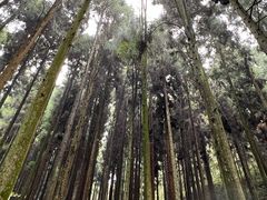 -娄山关景区