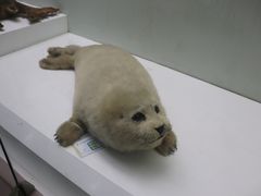 -国家自然博物馆