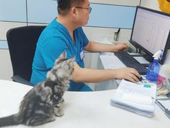 -中农国际动物医院24小时·猫科·骨科·急重症中心