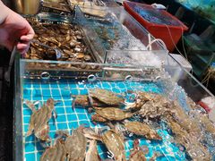 -九月海·海鲜自助(世纪东方店)