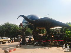 -陕西自然博物馆