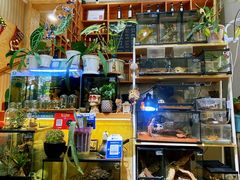 -Rabbit Cafe私房西餐甜点咖啡(栖霞路店)