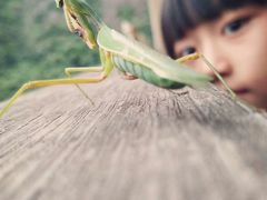 -三清山希尔顿度假酒店