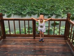 -天津东丽湖风景区