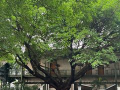 -喜洲吧·江畔老船厂·庭院餐厅(喜临院店)