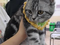 -美联众合动物医院·24h转诊中心
