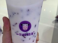 -一只酸奶牛(成都sm广场店)