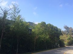 iphone_upload_pic-东澳岛
