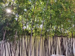 -枫桥景区