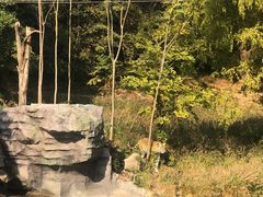 -宁波野生动物园