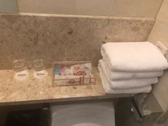 -南京钟山宾馆(江苏省会议中心)