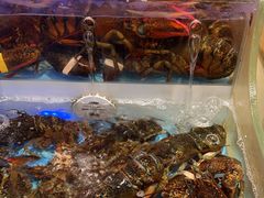 -同庆楼(滨湖万达广场店)