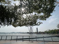 -无锡蠡湖国家湿地公园-蠡园