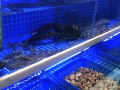 -悦海·家宴·冰花皮皮虾大锅贴(宝龙店)