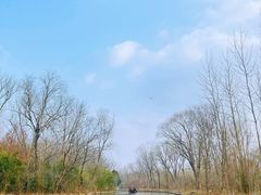 -溱湖国家湿地公园