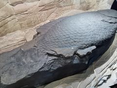 -白鹤梁水下博物馆