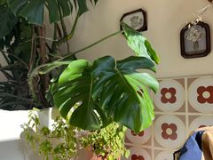 -AHAVA·Fang Baking Studio