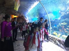 -华夏文旅海洋公园