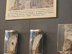 -土蚝·高压锅生蚝(百姓美食街店)