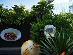 -悦融·京鲁菜·露台花园(安定门店)
